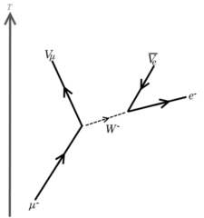 muonverval