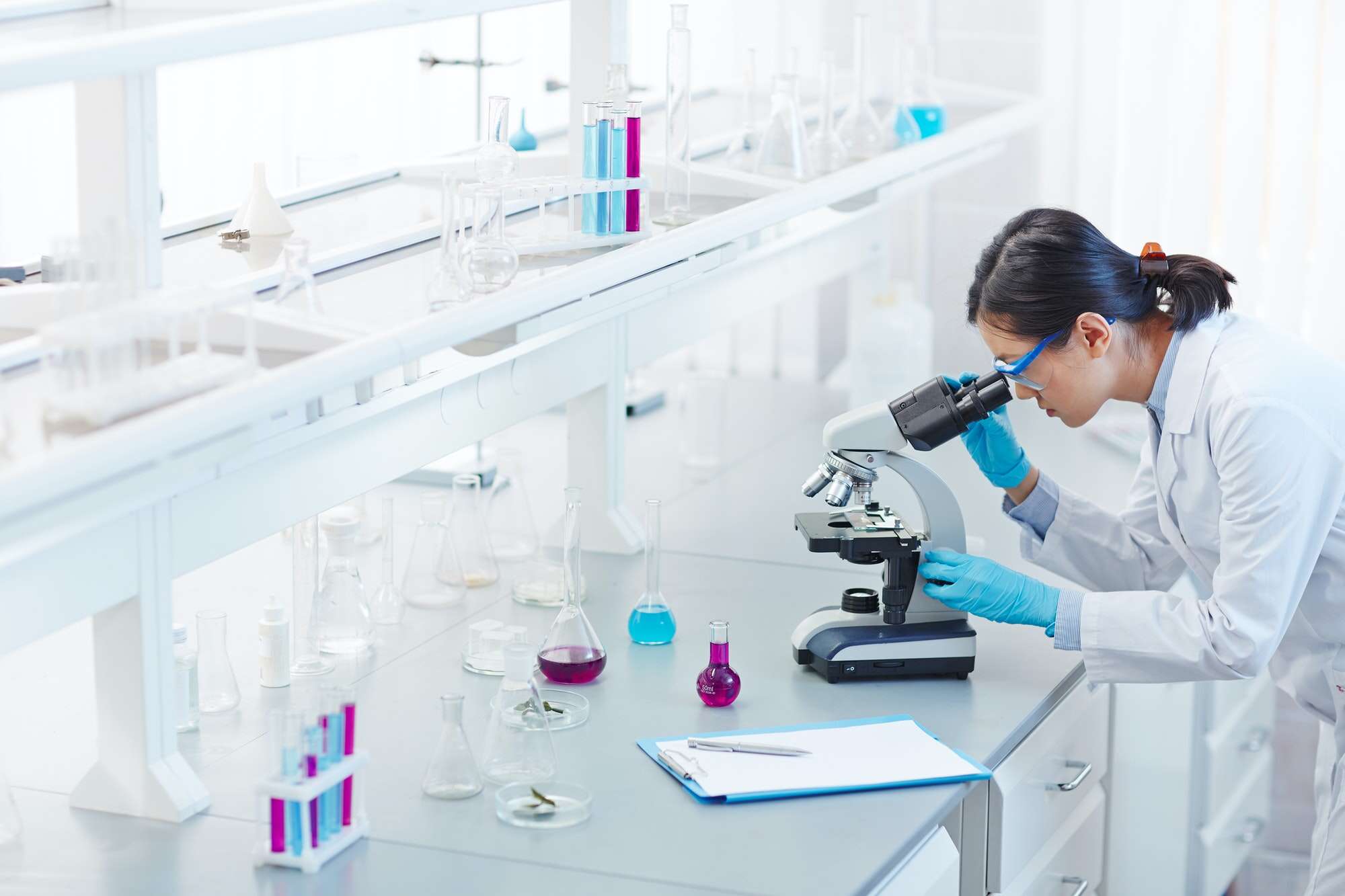 Biologie – CMA Science