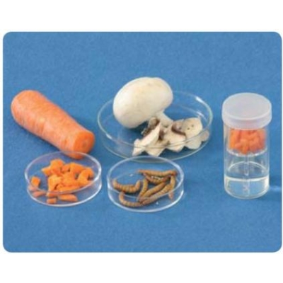 S022001 CO2 Detectie