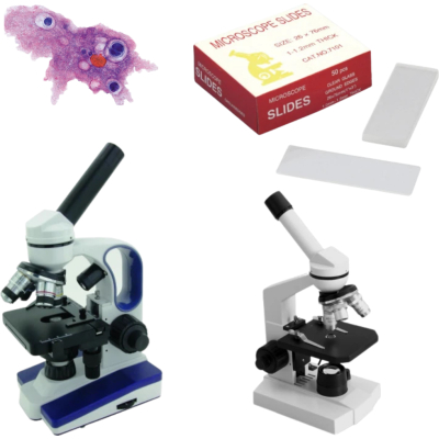 Microscopie biologie