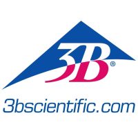 3B logo